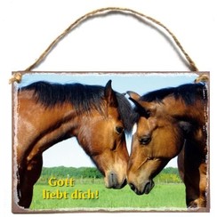 Holtzschild A5 Wandhänger/wandbord met de tekst: Gott liebt dich!