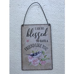 Engelstalig metalen wandbord 10x15 cm, ong. 60 gr, motief  3. Met de tekst: I am so blessed to have