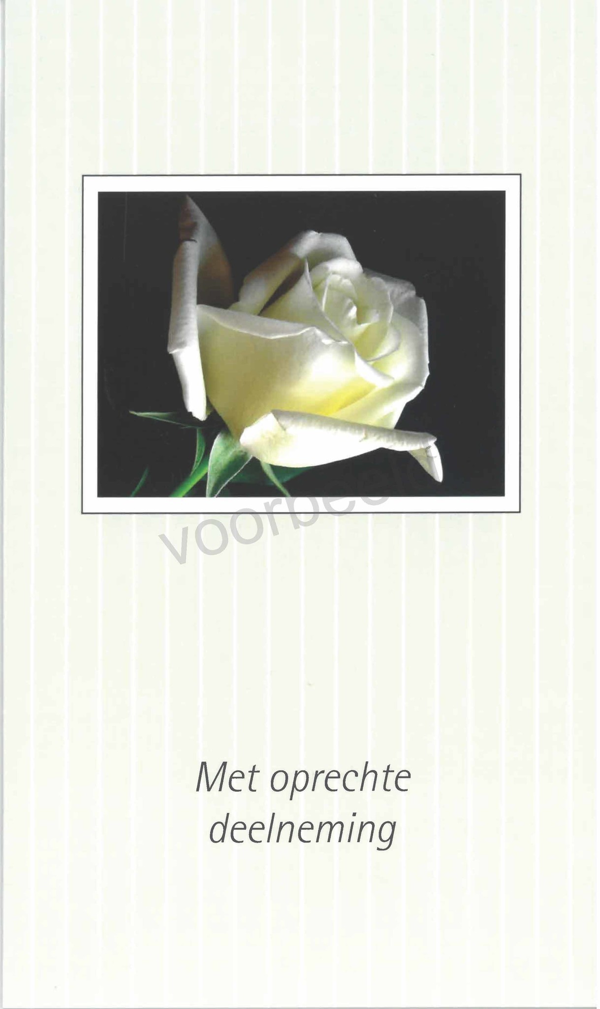 ritme Kleverig Verzorger Set van 5 luxe condoleance kaarten inclusief envelop