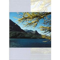 Luxe dubbelkaart met los inlegvel met tekst  (1 stuk = set van 5 dezelfde  dubbele kaarten)