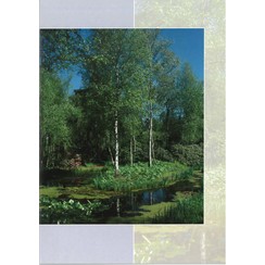 Luxe dubbelkaart met los inlegvel met tekst  (1 stuk = set van 5 dezelfde  dubbele kaarten)