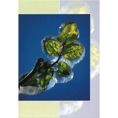 Luxe dubbelkaart met los inlegvel met tekst