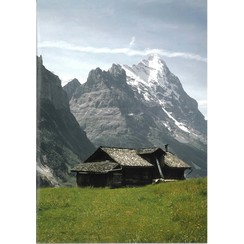 Luxe dubbelkaart met los inlegvel met tekst  (1 stuk = set van 5 dezelfde  dubbele kaarten)