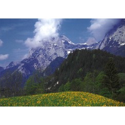 Luxe dubbelkaart met los inlegvel met tekst  (1 stuk = set van 5 dezelfde  dubbele kaarten)