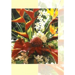 Luxe dubbelkaart met los inlegvel met tekst  (1 stuk = set van 5 dezelfde  dubbele kaarten)