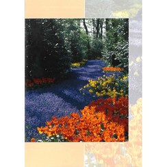 Luxe dubbelkaart met los inlegvel met tekst  (1 stuk = set van 5 dezelfde  dubbele kaarten)