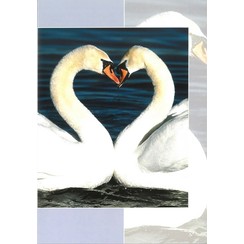 Luxe dubbelkaart met los inlegvel met tekst  (1 stuk = set van 5 dezelfde  dubbele kaarten)