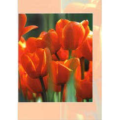 Luxe dubbelkaart met los inlegvel met tekst  (1 stuk = set van 5 dezelfde  dubbele kaarten)