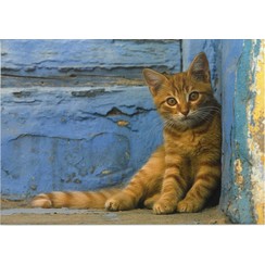 Luxe dubbelkaart met los inlegvel met tekst (1 stuk = set van 5 dubbele kaarten met inlegvel en enveloppe)