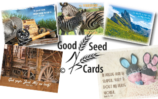 Good Seed Cards