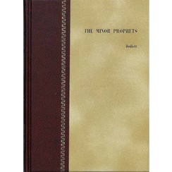 The Minor Prophets (lect.introd.)