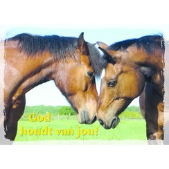 Grote poster 'God houdt van jou' afbeelding paarden