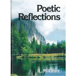 Poetic reflections.
