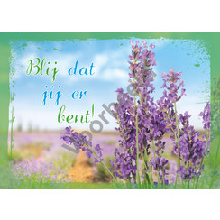 Enkelvoudige ansichtkaart 80-67 (per stuk)