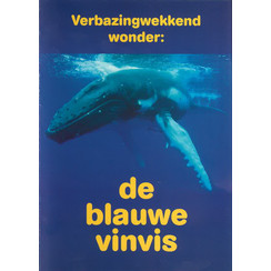 Traktaat: de blauwe vinvis