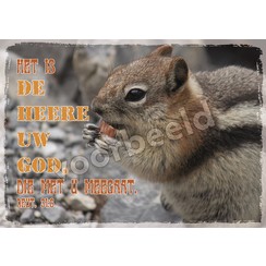 Ansichtkaart met tekst 21-17 (1 stuk = set van 10 dezelfde ansichtkaarten)