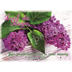 Ansichtkaart met tekst 21-14 (1 stuk = set van 10 dezelfde ansichtkaarten)