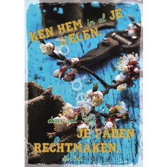 Ansichtkaart met tekst 21-13 (1 stuk = set van 10 dezelfde ansichtkaarten)