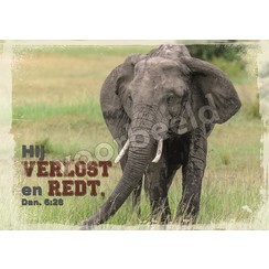 Ansichtkaart met tekst 20-32 (1 stuk = set van 10 dezelfde ansichkaarten)