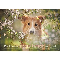 Ansichtkaart met tekst 20-26 (1 stuk = set van 10 dezelfde ansichkaarten)