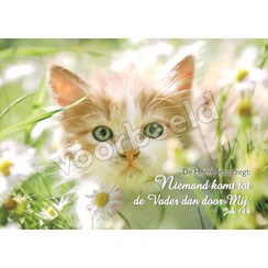 Ansichtkaart met tekst 20-23 (1 stuk = set van 10 dezelfde ansichkaarten)