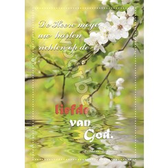 Ansichtkaart met tekst 20-20 (1 stuk = set van 10 dezelfde ansichkaarten)