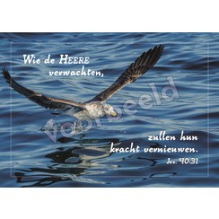 Ansichtkaart met tekst 20-15 (1 stuk = set van 10 dezelfde ansichkaarten)