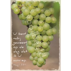 Ansichtkaart met tekst 20-12 (1 stuk = set van 10 dezelfde ansichkaarten)