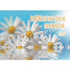 Ansichtkaart met tekst 20-02 (1 stuk = set van 10 dezelfde ansichkaarten)