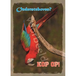 Ansichtkaart A6 luxe 83-44 ( 1 stuk )