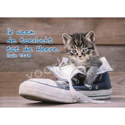 Ansichtkaart A6 luxe 83-42 ( 1 stuk )