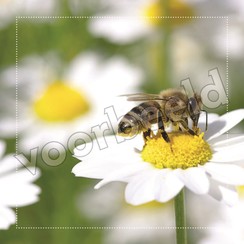 Vierkante luxe ansichtkaart 84-20 ( 1 stuk )