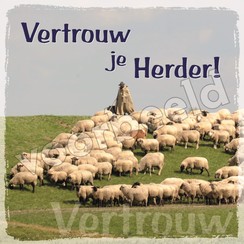 Vierkante luxe ansichtkaart 84-17 ( 1 stuk )