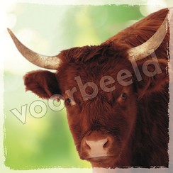 Vierkante luxe ansichtkaart 84-16 ( 1 stuk )