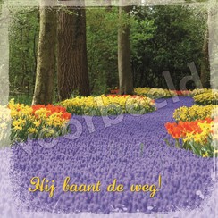 Vierkante luxe ansichtkaart 84-07 ( 1 stuk )