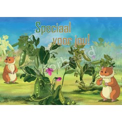 Enkelvoudige ansichtkaart 85-16 ( 1 stuk )