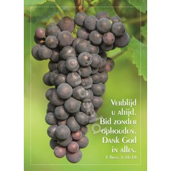 Enkelvoudige ansichtkaart 85-14 ( 1 stuk )