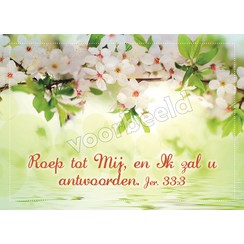 Enkelvoudige ansichtkaart 85-13 ( 1 stuk )