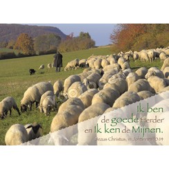 Enkevoudige ansichtkaart 85-06 ( 1 stuk )