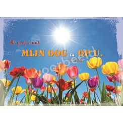 Enkelvoudige ansichtkaart 85-04 ( 1 stuk )