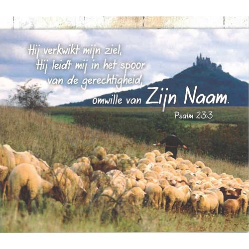Neerzetboek 1. Ik ben bij u – de goede Herder en Zijn schapen