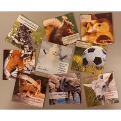 weggeefkaartjes 8x8 cm