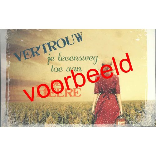 Neerzetboek 4. Veilig en gelukkig !