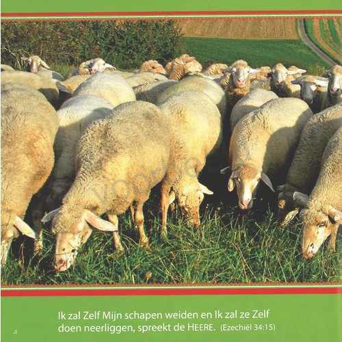 Geschenkboek: Psalm 23