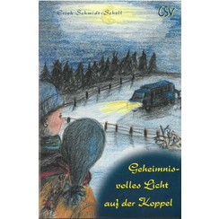 Geheimnisvolles Licht auf der Koppel.