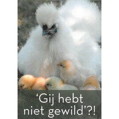 Traktaat: 'Gij hebt hebt niet gewild?!' (1 stuk = set à 10 dezelfde traktaten)