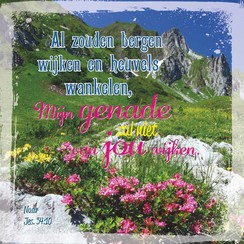 Vierkante luxe ansichtkaart 84-36 (per stuk)