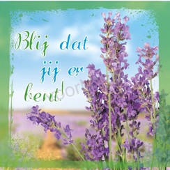 Vierkante luxe ansichtkaart 84-60 (per stuk)