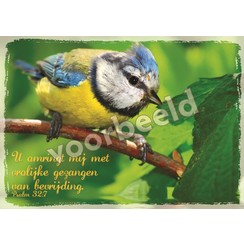 Ansichtkaart met tekst 22-07  (1 stuk = set à 10 dezelfde kaarten)