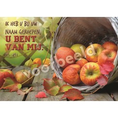 Ansichtkaart met tekst 22-04  (1 stuk = set à 10 dezelfde kaarten)